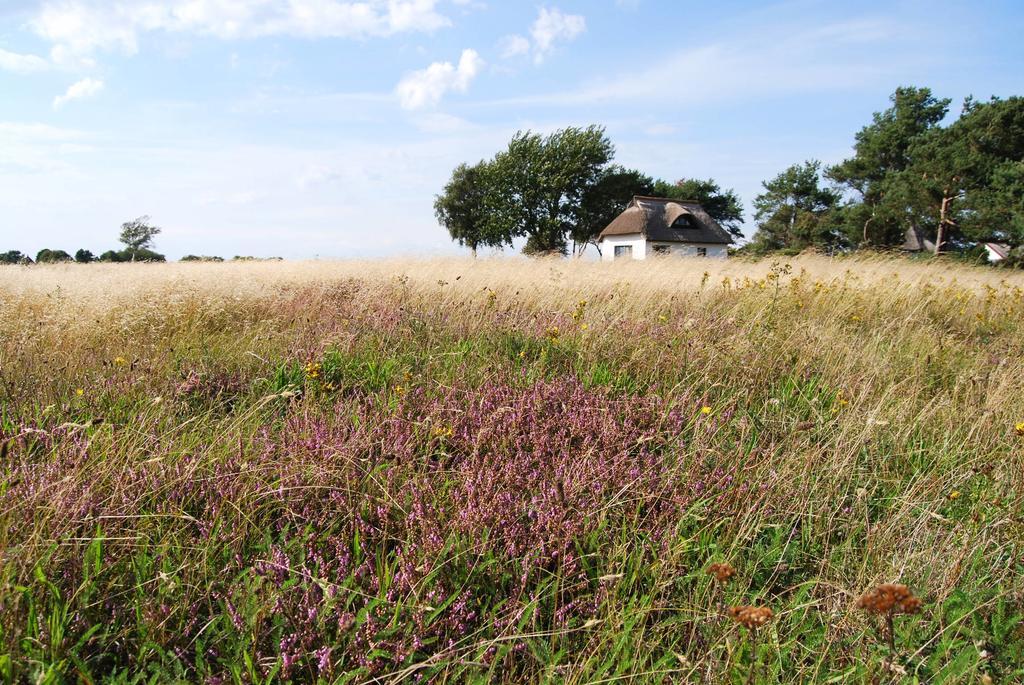 Ferienwohnung Hiddensee In 비테 외부 사진